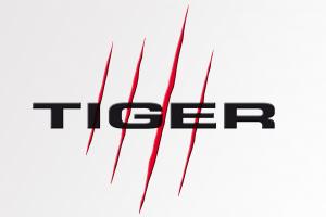 Asd Tiger Milano