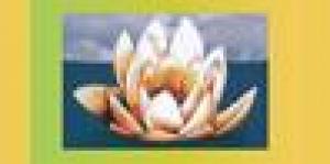 Fiordiloto