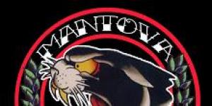 Jiu Jitsu Mantova
