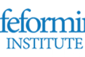 Lifeforming Leadership Coach