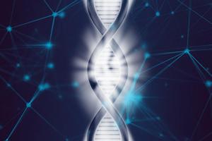 Istituto di Kinesiologia e Neuro-Training®