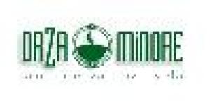 Orza Minore