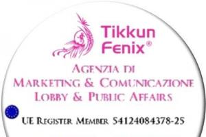 Tikkun Fenix Business Coaching