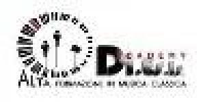 Di.Es.Is. Academy