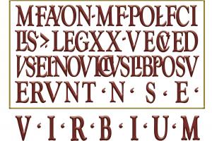 Virbium S.a.s.