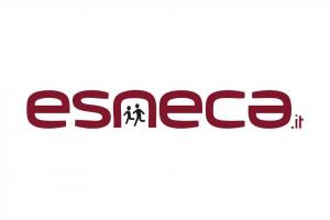 ESNECA BUSINESS SCHOOL