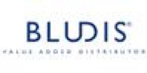 Bludis