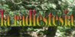 Centro Studi Ricerche Radiestesiche e Geobiologiche