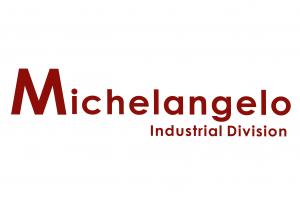 Michelangelo Formazione
