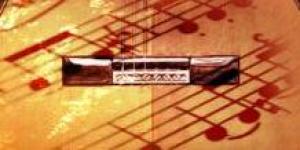Chitarra Fingerstyle