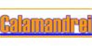 Istituto Calamandrei Paritario