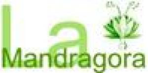 La Mandragora