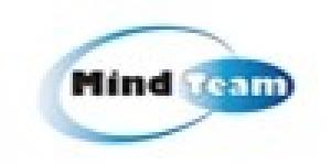 Mind Team srls