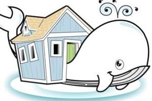 Associazione Moby Dick