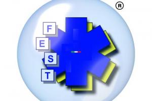 F.E.S.T ITALIA srl