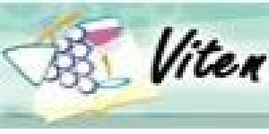 Viten