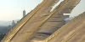 Progetto Angeli alle Fermate