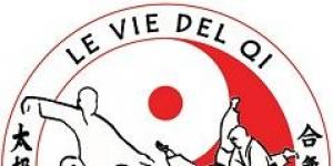 Le vie del Qi