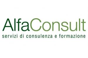 Alfa Consult Srl