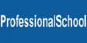 Professional School