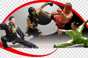 Scuola di Kung Fu Tradizionale Cinese
