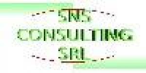 SNS Consulting