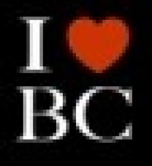 Bruce Costa Photographer