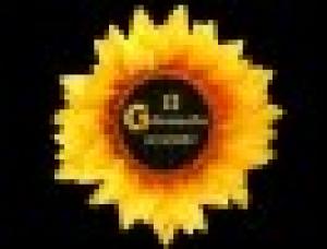 Il Girasole Eventi