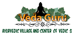 Associazione Vedaguru