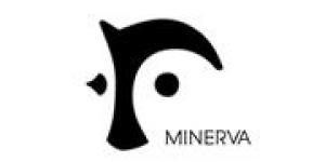 Minerva Professionals