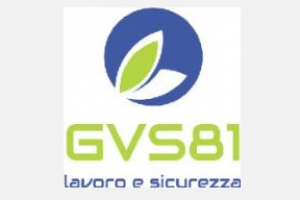 GVS81 Srl