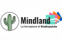 Mindland: la formazione di Studiopsiche