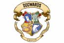 DOGWARDS - Formazione Professionale Cinofilia