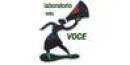 Laboratorio della Voce