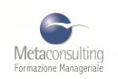 Metaconsulting srl