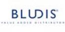 Bludis