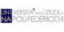 Dip Strutture per l'Ingegneria e l'Architettura Università di Napoli Federico II