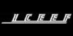 Iceef Istituto Europeo di Cultura e Formazione