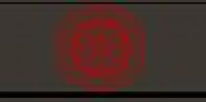 Shibukan Ninpo Bugei Federation