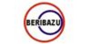 Capoeira Grupo Berribazu