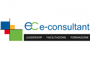 E-Consultant