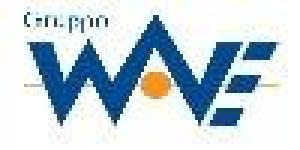 Gruppo Wave S.R.L.