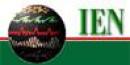 Ien Business School