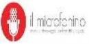 Il Microfonino