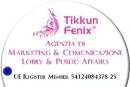 Tikkun Fenix Business Coaching