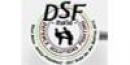 Dsf - Defence Solutions Fighting