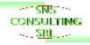 SNS Consulting