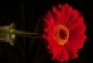 Valentina Vano - Danzaterapia metodo Marìa Fux