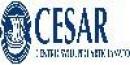Cesar Centro Sviluppo Artigianato