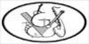 Accademia Musicale Giuseppe Verdi